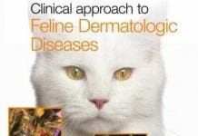 Clinical approach to Feline Dermatologic Diseases