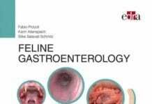 Feline Gastroenterology - Fabio Procoli, Karin Allenspach and Silke Salavati