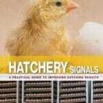 Hatchery-Signals-A-Practical-Guide-to-Improving-Hatching-Results