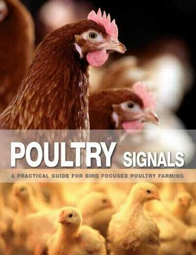 Poultry Signals: A Practical Guide for Bird Focused Poultry Farming