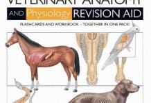 Introduction to Veterinary Anatomy and Physiology Flashcards PDF