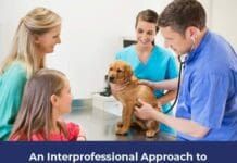 An Interprofessional Approach to Veterinary Nutrition
