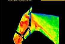 Equine Thermography In Practice 2nd Edition